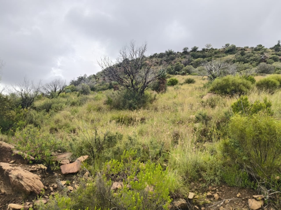 0 Bedroom Property for Sale in Jamestown Eastern Cape